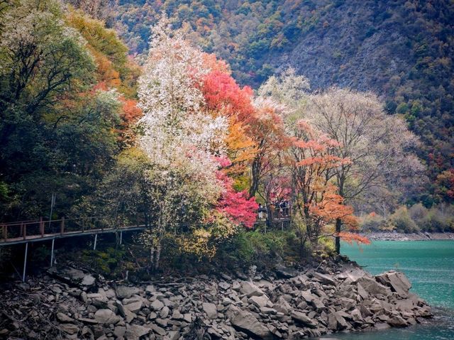 松坪溝深度遊記｜避開人潮的秘境指南
