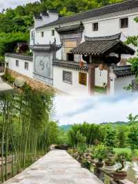 入住寧波和園質野民宿，邂逅詩意時光