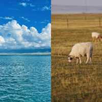 青海湖終極攻略：360°環湖秘境、天空之鏡拍照指南