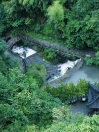 莫干山碧坞龍潭｜0元玩水秘境！獨享「竹林瀑布