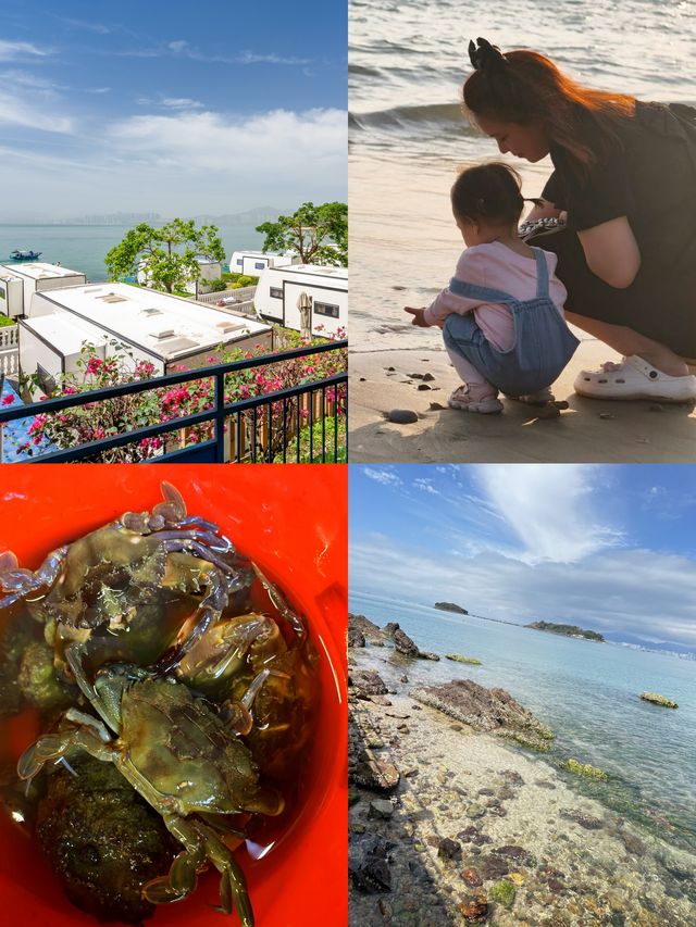 親子趕海天花板！喺鯨落營地挖到成桶蟹