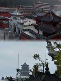 貴陽心臟地帶！瞓得好、食得香，連毛孩都讚！