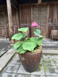 花築奢·海鳥天地民宿