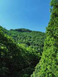 利川，北緯30°嘅秘境仙居