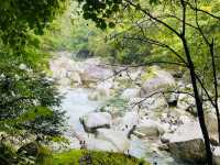 去咗米倉山國家森林公園3次，終於玩到明晒。