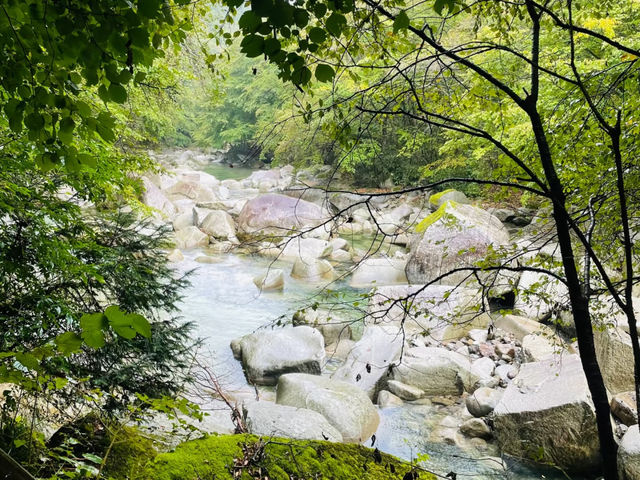 去咗米倉山國家森林公園3次，終於玩到明晒。