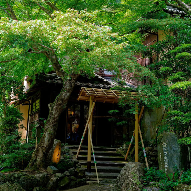 大阪Forest park森林公園🌲！都市綠肺秘境全攻略，吸氧放鬆必衝！