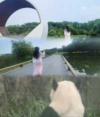 六月避暑首選！裸心泊超長湖岸線太棒了