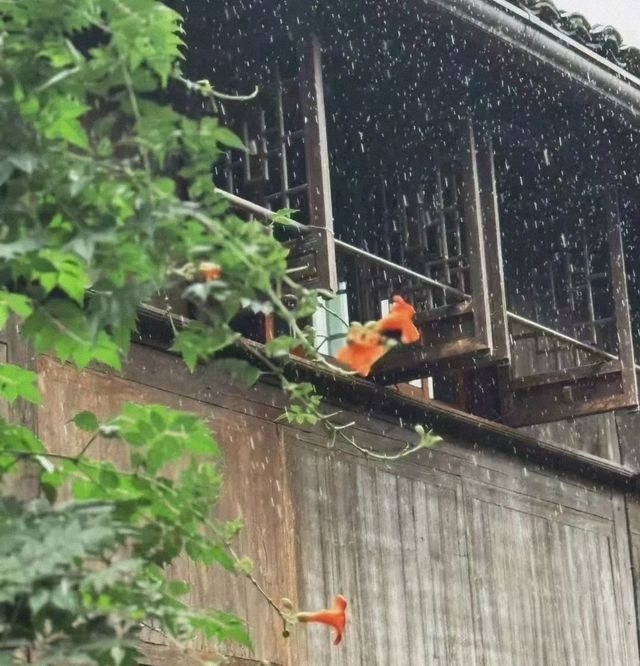 烏鎮防坑攻略：東柵同西柵邊個更值得去？建議收藏！
