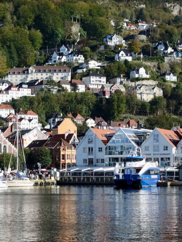 🇳🇴 挪威郵輪 Day 1｜從卑爾根出發，啟航北極圈之旅 🐻‍❄️