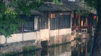江南水鄉周莊古鎮｜上海周邊暑假湊仔省心版
