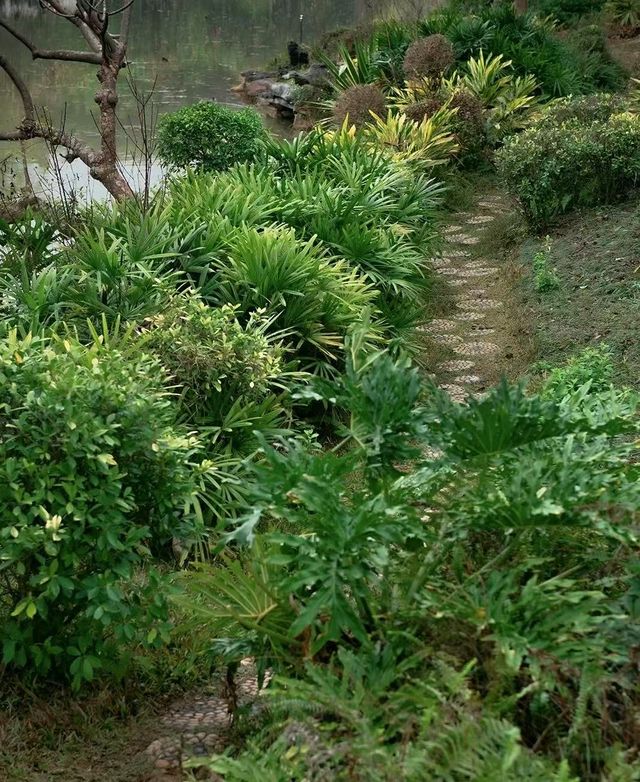南寧狮山公園拍照秘境分享