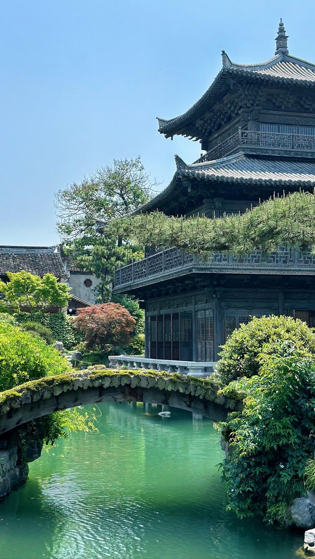 嘉興•濮陽仲有人未去過？