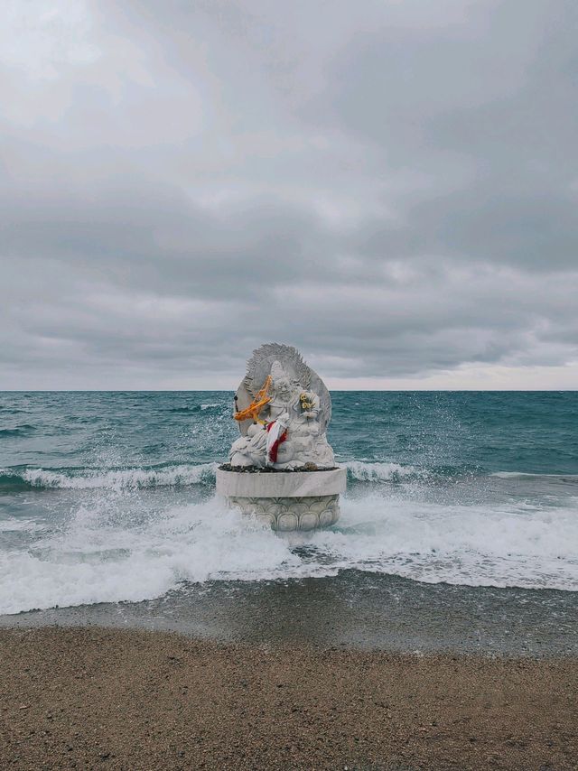 青海湖七月藍黃奇境