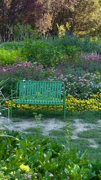 莫奈花園真係靚到喊
