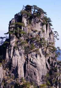 登頂黃山保姆級攻略｜奇松雲海全打包