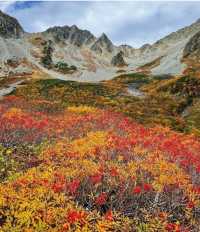 日本白馬村5天紅葉溫泉攻略