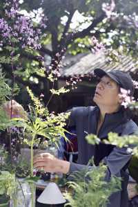 夏天總要去一次雲南