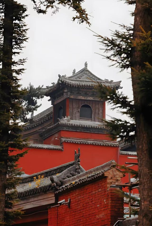 暑期消暑首選！五台山3日深度遊 食素漢堡·接聖水·抄經