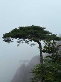三清山一日遊攻略｜12小時征服雲海仙境