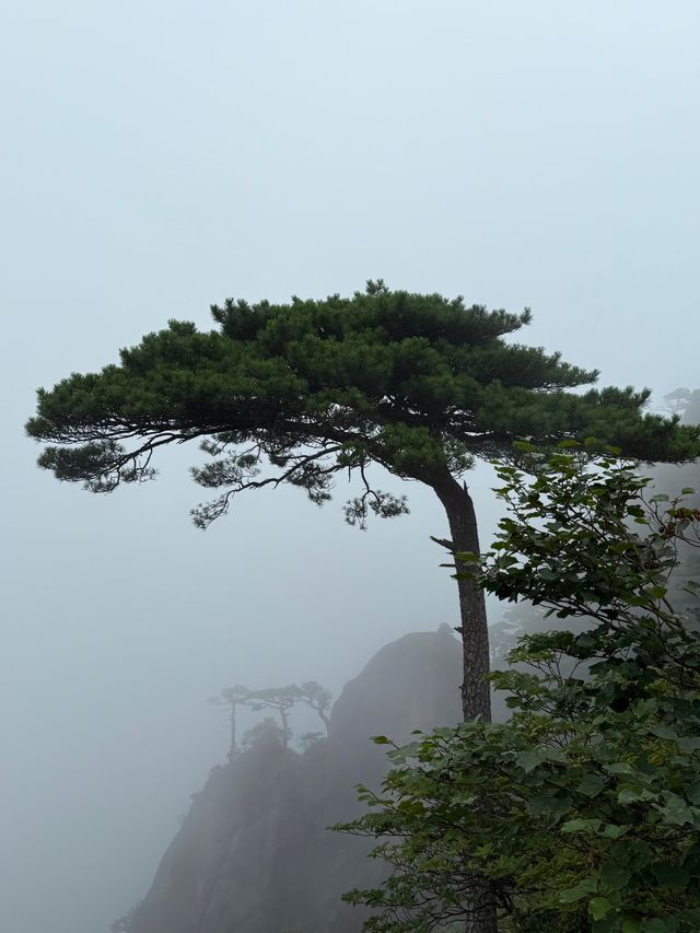 三清山一日遊攻略｜12小時征服雲海仙境
