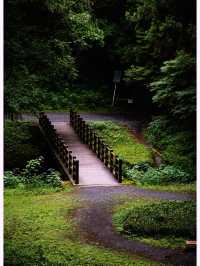 靈氣縈繞！東京八王子城跡公園探祕】**  