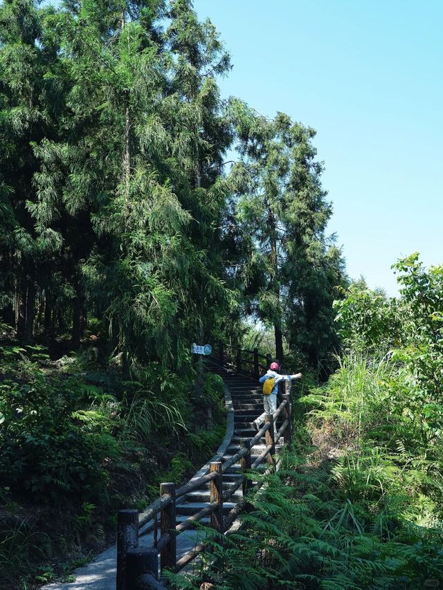 仙峰山絕美徒步路線