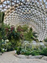 上海辰山植物園:花草編織的調色盤