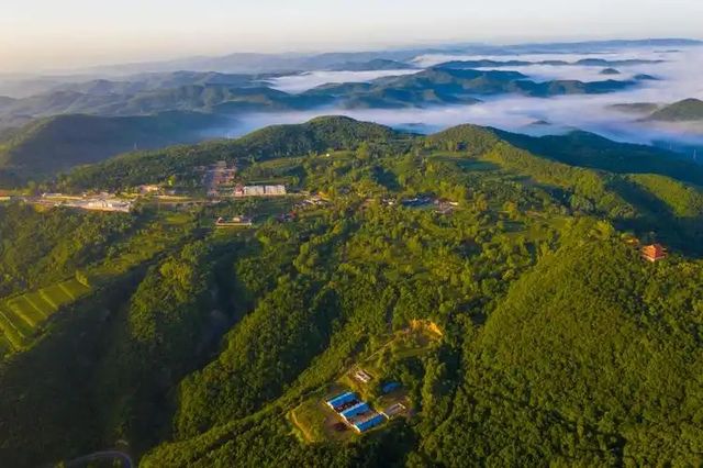 山西藏著一個「治癒系秘境」！臨汾鄉寧峰嶺景區，雲海、森林、奇峰美得令人窒息✨