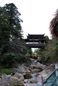 麗水景寧遊時思寺看千年古村落，雲中大漈山野徒步