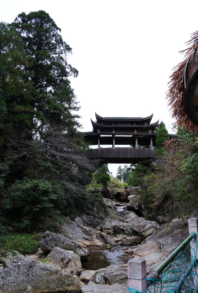 麗水景寧遊時思寺看千年古村落，雲中大漈山野徒步
