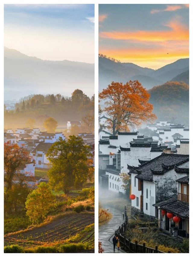可惜你不來黃山，不知道皖南的秋天有多美！