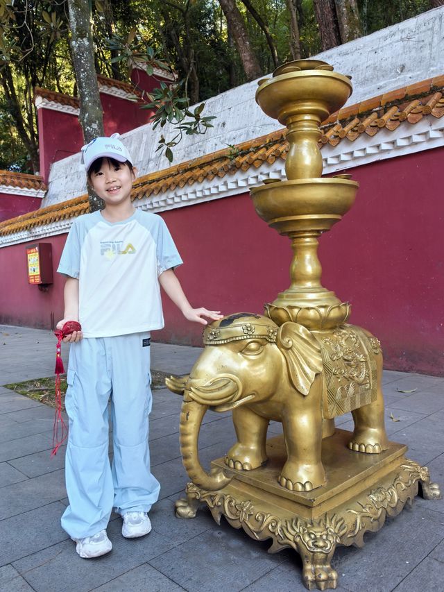 帶娃必看！炎陵三日親子遊打卡路線指南