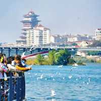綿陽4天3晚旅遊攻略
