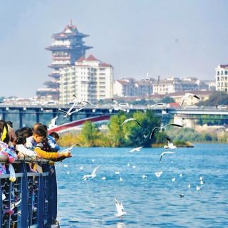 Mianyang 4 Days 3 Nights Travel Guide