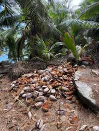 Wonderful Resort Experience With Excellent Amenities and Service