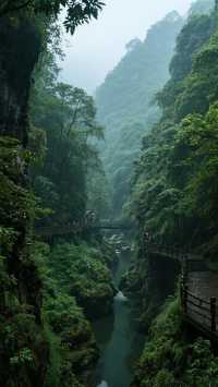 來成都吧!美的舒適!三天兩晚旅遊攻略