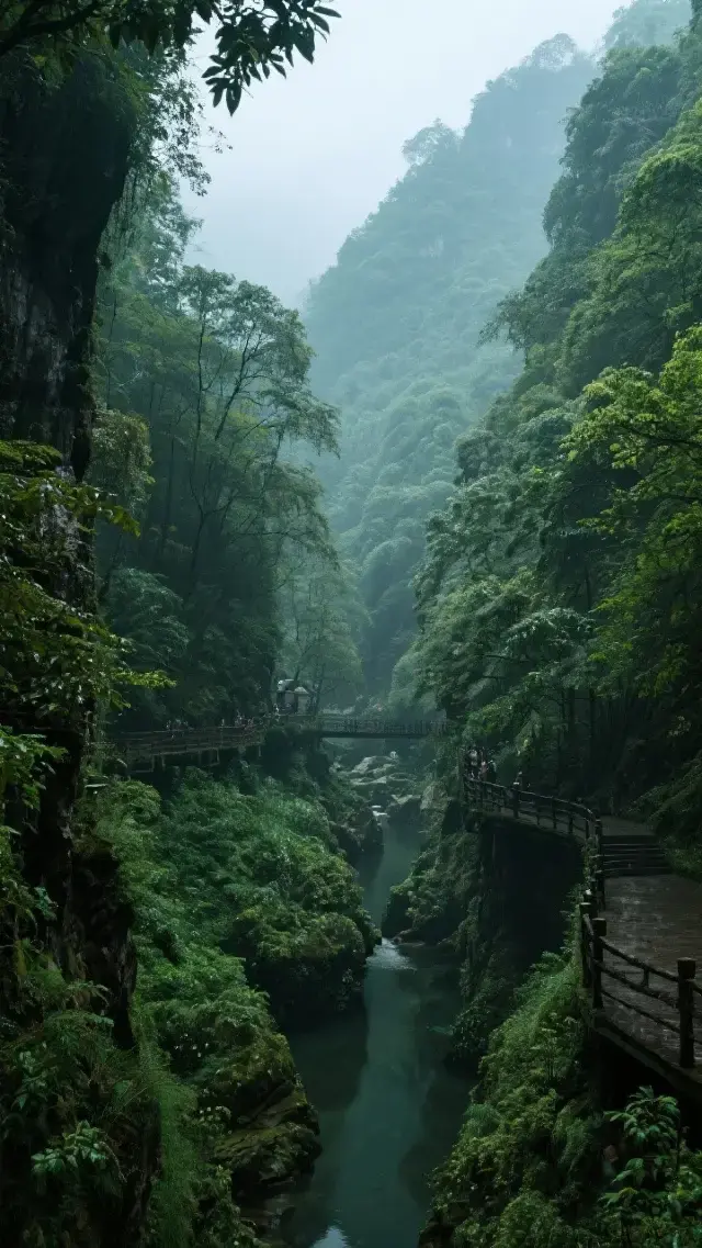 Come to Chengdu! Beautiful and comfortable! Three days and two nights travel guide