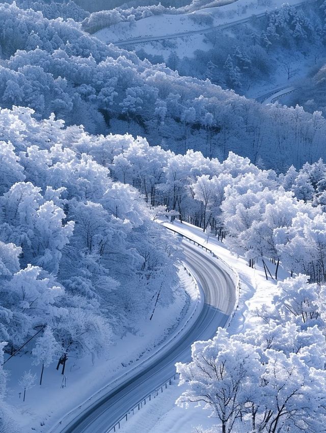 亞雪公路裹雪帶鬆如絲帶，一路風光醉人心