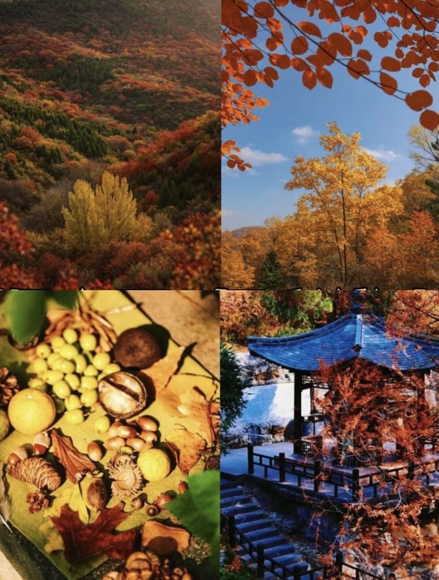 北京 10-11月賞秋指南| 9個小眾秘境攻略 北京 10-11月賞秋指南| 9個小眾秘境攻略