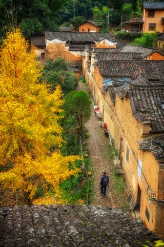 Underrated Jiangnan Secret Spot: A Rainy Day Stroll in Yangjiatang Village
