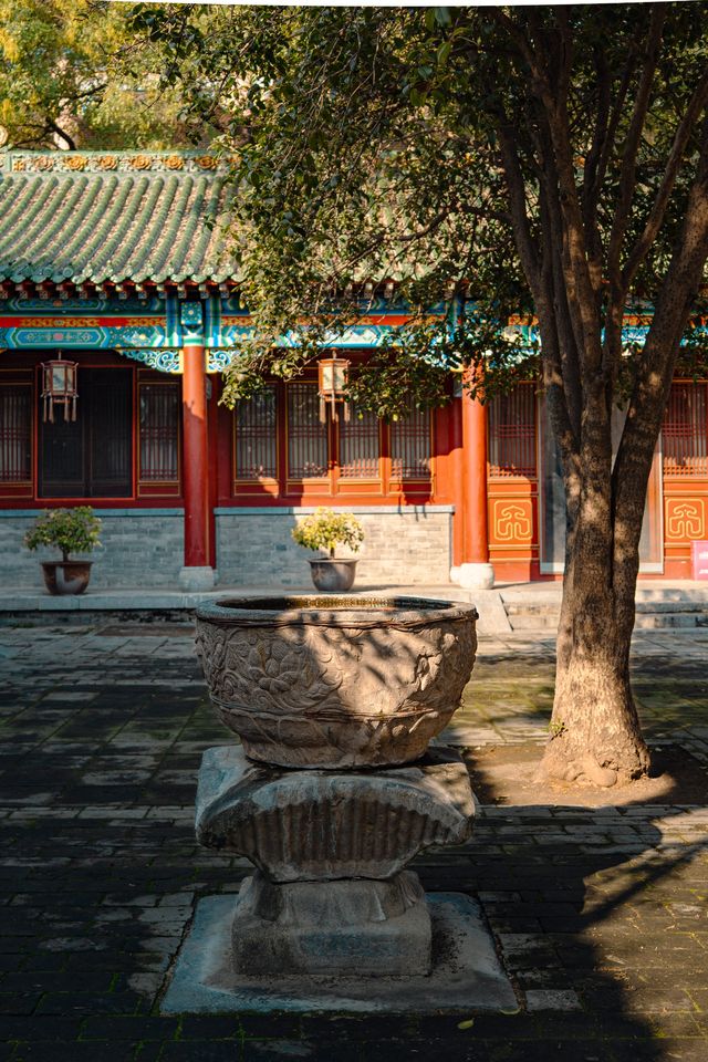 鄭州藏在老城的驚喜！600年古寺的中伊美學暴擊