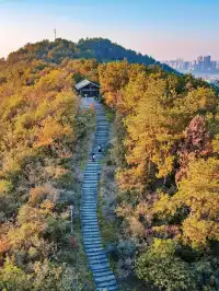 武漢賞秋分享個江夏小眾徒步賞秋地
