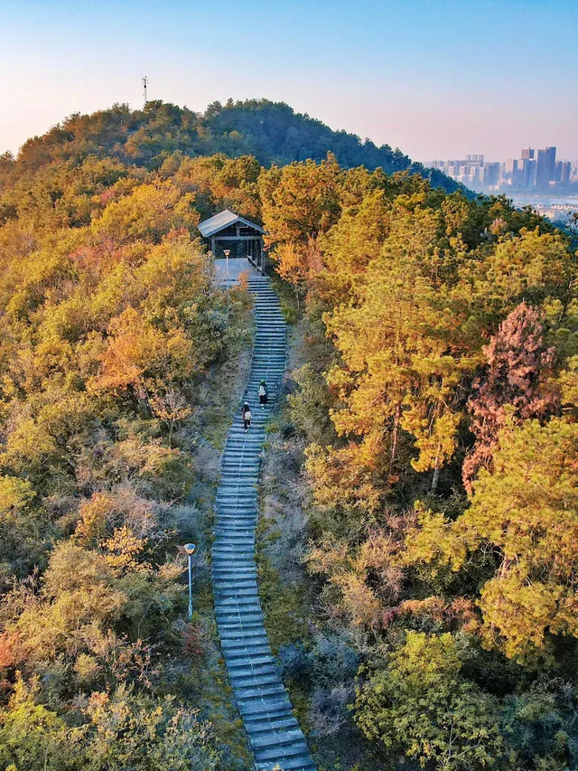 武漢賞秋分享個江夏小眾徒步賞秋地