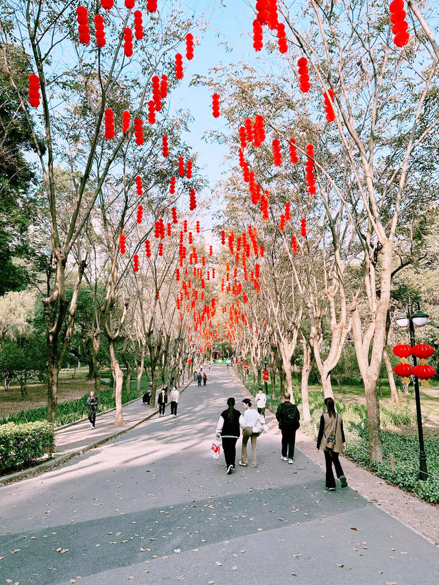 ⛺️ 蓮花山X 筆架山公園｜城市裡也能露營的綠色天堂