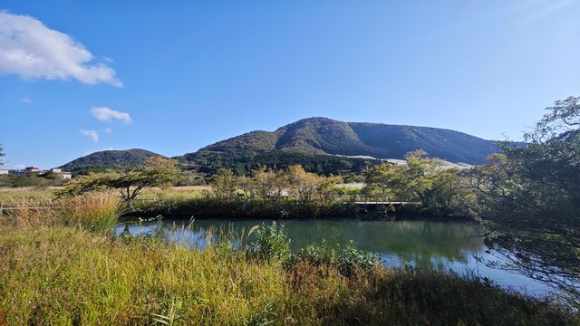 箱根濕生花園 —— 低調、但不可錯過的地方