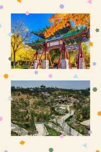秋染園博：一園藏盡九州秋   當北京的風掠過永定河畔，園博園便成了被秋色打翻的調色盤。這座橫跨豐台、