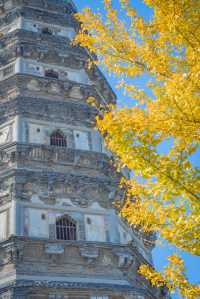 虎丘風景區拍照秋天,附拍照打卡旅遊攻略