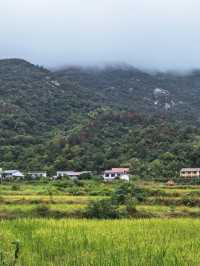 去長沙北山徒步卻被天氣"放鴿子"是什麼體驗?