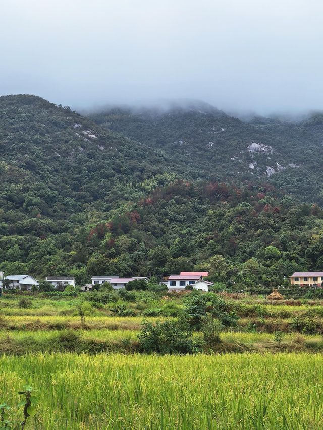 去長沙北山徒步卻被天氣"放鴿子"是什麼體驗? 去長沙北山徒步卻被天氣"放鴿子"是什麼體驗?